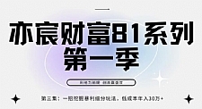 亦宸财富81系列第1季第3集：一招挖掘细分暴利玩法，低成本年入30w